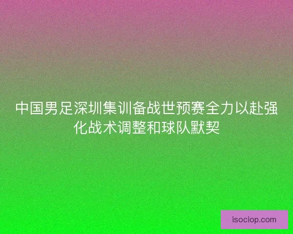 中国男足深圳集训备战世预赛全力以赴强化战术调整和球队默契