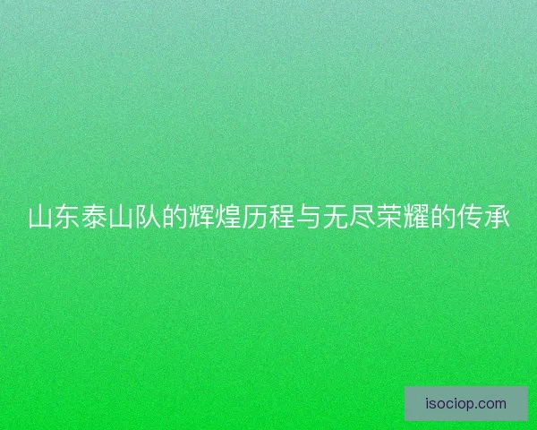 山东泰山队的辉煌历程与无尽荣耀的传承
